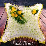 Based Cushion