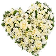 Loose Heart White