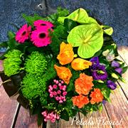 Loose Posy Pad Vibrant