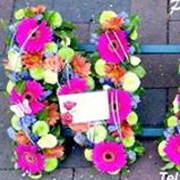 Loose Mum Lettering Vibrant