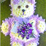 Teddy