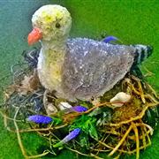 3-d Seagull in a Nest