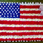 USA Flag