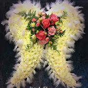 Angel wings