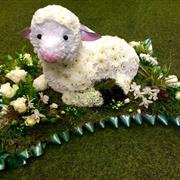 Lamb