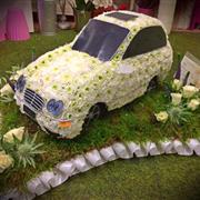 Mercedes Car 3-D