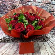 Animal 12 Red Rose Aqua