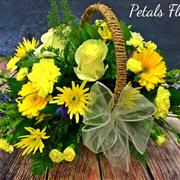 Yellow and Blue basket