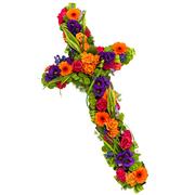 Vibrant Grouped Cross