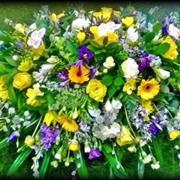 Yellow and purple casket top
