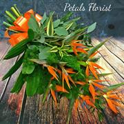 Strelitzia tied Sheaf