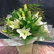 White Lily Aqua