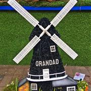2-d Windmill
