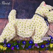 2-d Westie dog