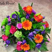 Posy Arrangement Vibrant