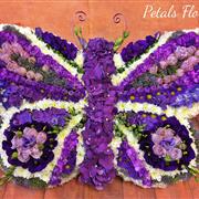 Butterfly Purple and Lilac