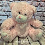 Pink Teddy 