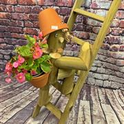 Ladder