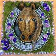 Horse Tribute