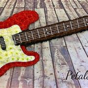 Red Electric Guitar