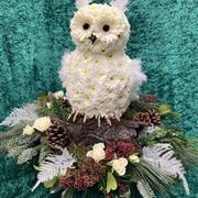 3-d Owl Tribute