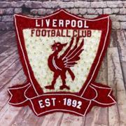 Liverpool Badge