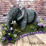 3-d Elephant