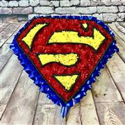 Superman badge