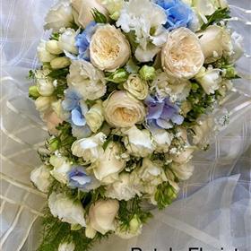 fwthumbA3A6EFEC-EFE3-4198-9368-85E4C61D3A05.jpg